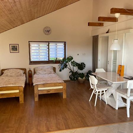 Apartman V Podhuri Jizerskych Hor Zelezny Brod Екстер'єр фото