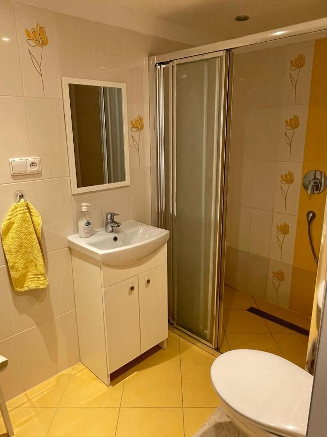 Apartman V Podhuri Jizerskych Hor Zelezny Brod Екстер'єр фото